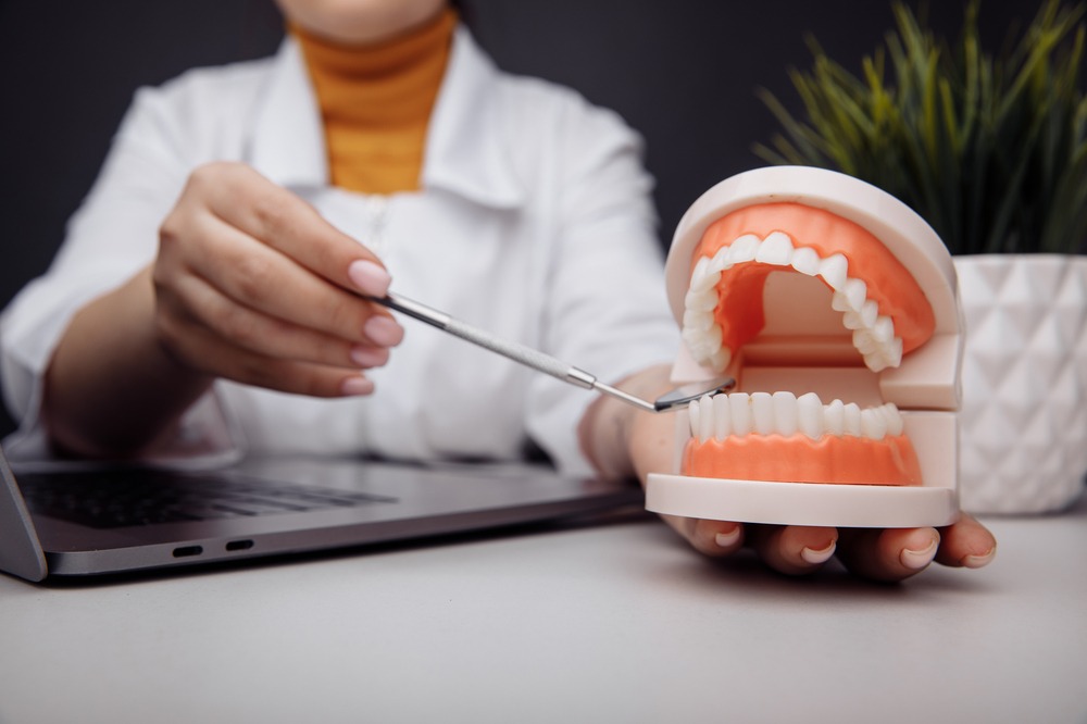 a denturist showing a model denture