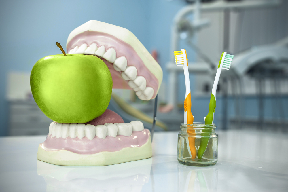 Composition.,Denture,,Apple,And,Toothbrushes,In,Glass,In,Dental,Surgery - Eating after dentures